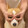 kejifuerdai