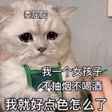jianzijiannio