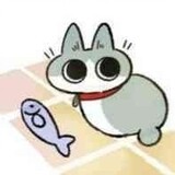 shishenmepinzhongdexiaozhu