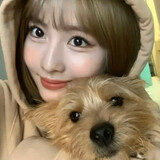 bukeshiyongdeluyu