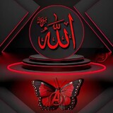 Sheraz Ali 007