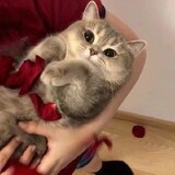 _nakona