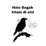 GagakHitam_kaditya
