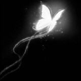 『Hạ Nguyệt_夏月』