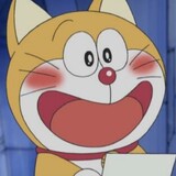 huabeifox1