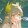 yanyou_flame