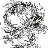 DRAGONBIN0899