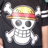 zefa23