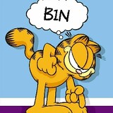 garfield-bin
