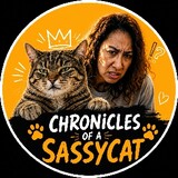 Sassy_Cat