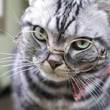 tianxiaxuanxue