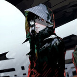 i_brs