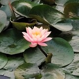 xiaoxiongsanjianke69