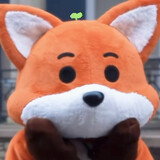 zhuozhuo______