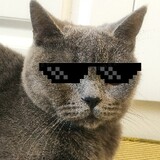oraeiaiyamapi_02_01