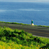 shuigoubaxiaoshi-