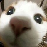 kongbaibai____