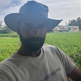 Sukhjeet singh_5911