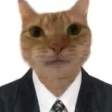 pushiwude