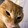 punycat