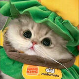 paixingerdy
