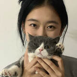 xiaoxi-lechat