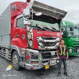 Rico Torino Ant_3501