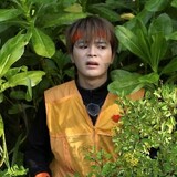 Ngô Trần_1803
