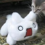 shuishuishuishuijiao