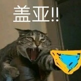 shenmehuangzi