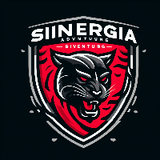 sinergiteam