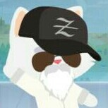 dongxingfeibangtouzi