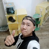 youxiandepingshu