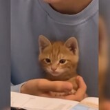 woxikali______