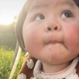 yuanlaishizzwa