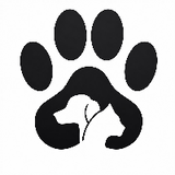 MundoAnimalTV
