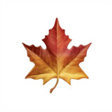 xianqiu-autumn