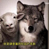 hongpitourist