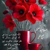 Marjaan