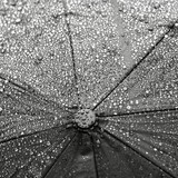 Heavy Rain Walk