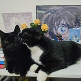 jingyaqianduoduo