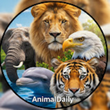 AnimalDaily