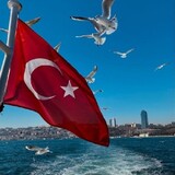 Patricia holubova 11