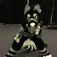 creator avatar