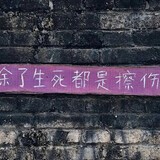 xiaomogujianshouqing