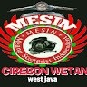 MESIN official