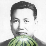 chengshihuaguazi