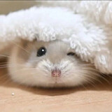 wumengmian_