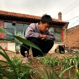 yandongbushiyandong