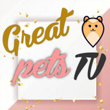 Great pets TV